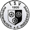 TSV Poppenhausen